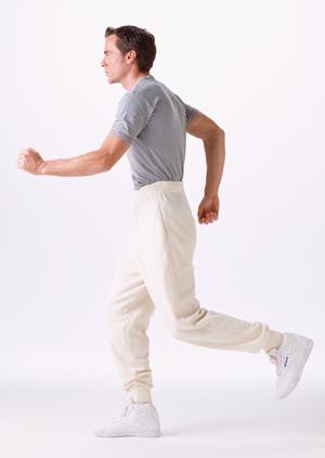 本場のキャッツクローの入手は通販で