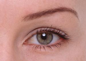 フコイダンは中高年の悩みを解決する成分